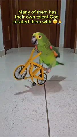 parrotnity 😞#parrot #parrotsoftiktok #viral @Skinycomics 