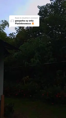 Replying to @ekoyfries Salamat sa pag appreciate mga bossing🫡#tmx155 #contactpoint #tmx155streetbikeconcept🇫🇷🇫🇷 #vansconcept #tmx155langsakalam💪🔥💯 #tmx155thailook♥️🇹🇭 #allstock #fypp #fyppp #fypppppppppppppp #fypppp #fyppage 