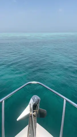 #رحلات_بحرية #قارب #جزيرة_جريد_في_الجبيل🎣🦪🏝️🏊🏊‍♀️ 