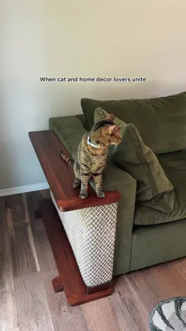 Cat parents 🤝 Home decor lovers #hildeandphil #catecorner #hildephil #catscratcher #catscratching #catfurniture #cataccessories #catmusthaves