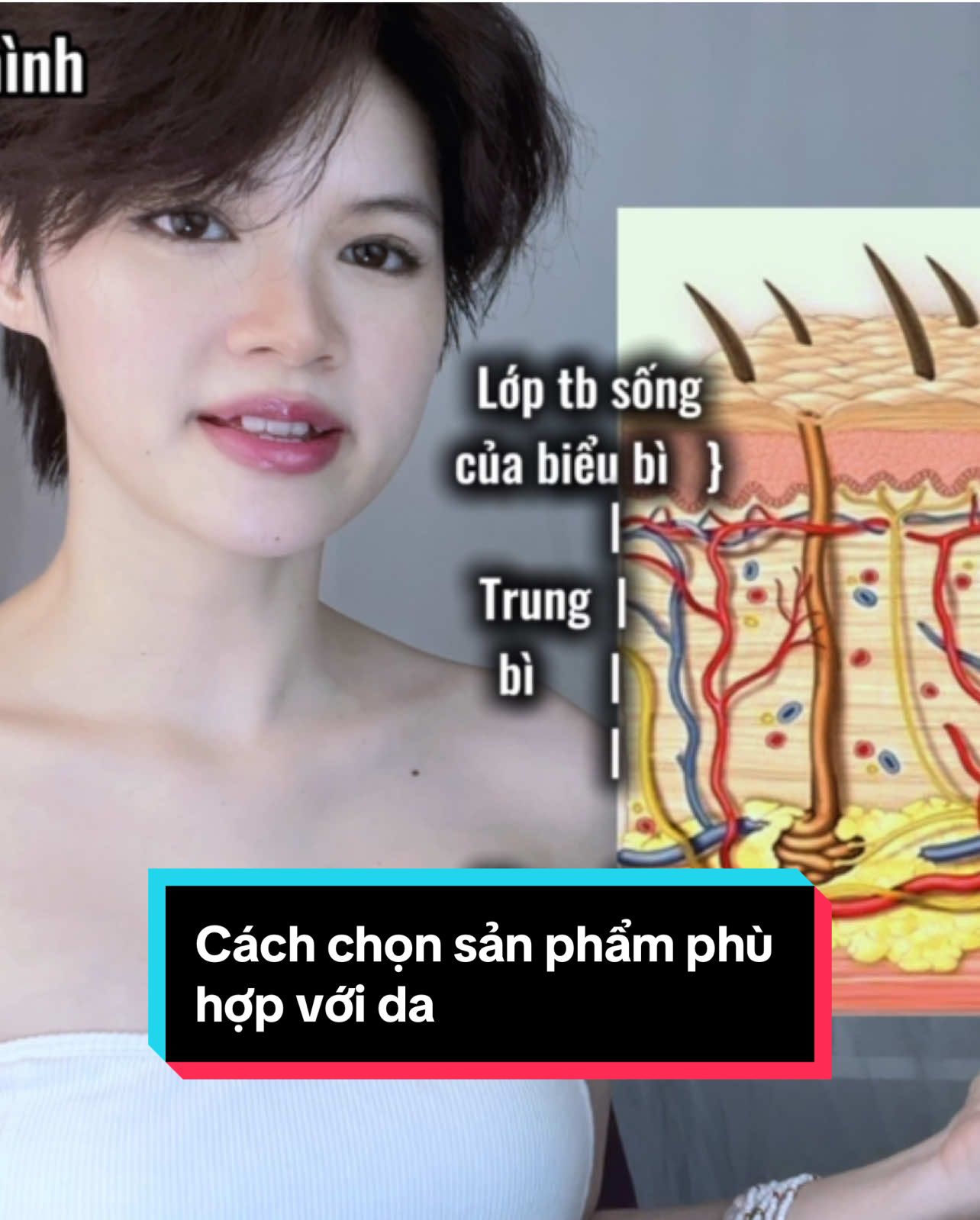 Muốn da đẹp thì mỹ phẩm chỉ là điểm cộng, lối sống & dinh dưỡng mới là mấu chốt. Skincare chỉ chăm sóc được phần bề mặt, những gì mấy bà nạp vào cơ thể mới nuôi dưỡng da từ gốc rễ. Làn da của mình thực chất phản ánh sức khỏe bên trong. Skincare tác động cho da rất ít, phần lớn vấn đề như mụn, nhăn, khô, xỉn màu, sạm vàng… lại do hormone, dinh dưỡng, giấc ngủ, stress, tuần hoàn máu và ánh nắng quyết định.  Ví dụ: Khi ăn nhiều đường, sữa, đồ chiên nướng làm insulin và hormone tăng, dễ gây mụn và lão hóa. Thiếu chất béo tốt, vitamin và chất chống oxy hoá thì hàng rào da yếu, dễ bị viêm, dễ bị nhăn. Thiếu ngủ và stress khiến cortisol cao, phá vỡ collagen, làm da xấu đi, thiếu độ căng bóng và đàn hồi. Skincare vẫn cần nhất là chống nắng, làm sạch vừa phải, dưỡng ẩm vừa đủ, chỉ dùng treatment khi cần thiết. Nhưng nếu ăn uống, ngủ nghỉ, thiếu vận động thì serum, kem dưỡng… cũng khó phát huy tác dụng nha mấy bà. #uyennhi #50ktipslamdeplonxon #uyennhitipslamdep #uyennhi50ktipslamdep #fomo