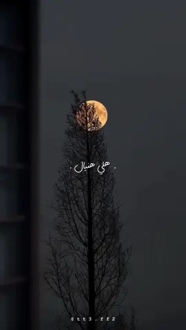 هلي هنيال اليموتون💔. #تصميمي #فيديوهات  #حسين_اهات  #fypシ #explore 