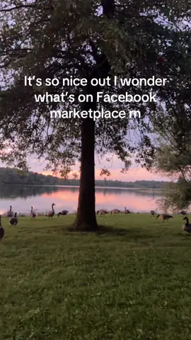 Best find of the day was a vintage 5 panel hat from National Geographic and it had elephants printed on it w the Rio filter on for 29$ 