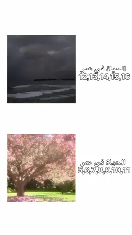 #حقيقي💔 #pov #explor 