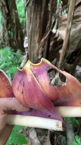 liệu va hàng không các bác??