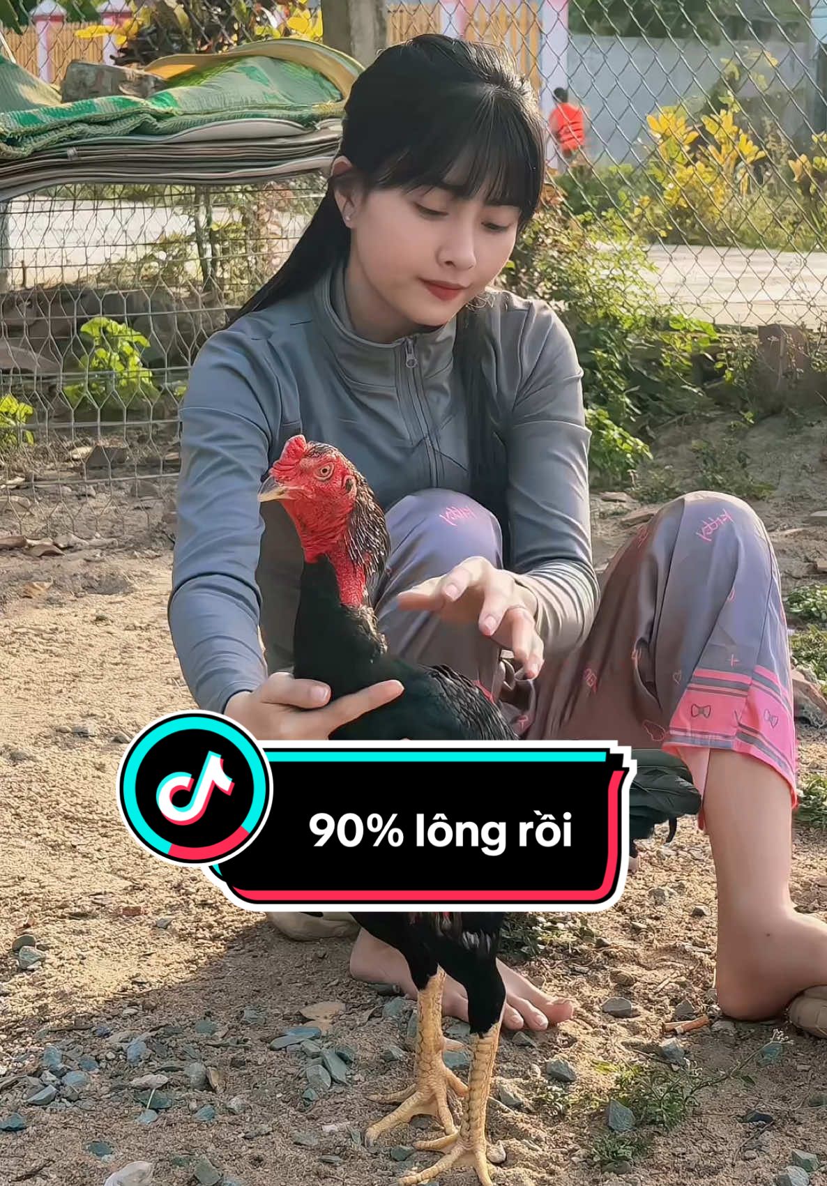 Trận cuối vụ lông ấy…. Và 3 tháng 8ngày Em ấy đã đựơc 90% lông🫶@𝓓𝓲ệ𝓾 𝓛𝓪𝓷𝓱 𝟟𝟠 @ℍ𝕦ỳ𝕟𝕙 ╰❥𝔻𝕚ệ𝕦♥𝕃𝕒𝕟𝕙♥ #diệulanhthuốcgà #?gachoivietnam🐓🐓🐓❤️ #đam_mê_gà_chọi❤ #đammêgàchọi🖖🖖🖖 #toiyeudongvat❤ 