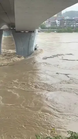 পাকিস্তানে ভয়াবহ বন্যা_😴😴😴