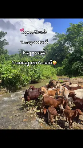 ဘာညာပေါ့ကွာ#fppppppppppppppppppp #မင်းတို့ပေးမှ❤ရမဲ့သူပါကွာ #ငါသေမှပဲfypပေါ်ရောက်မှာလား😑😑 #gym #viwerတေရှယ်ကျ😔👍 @TikTok 