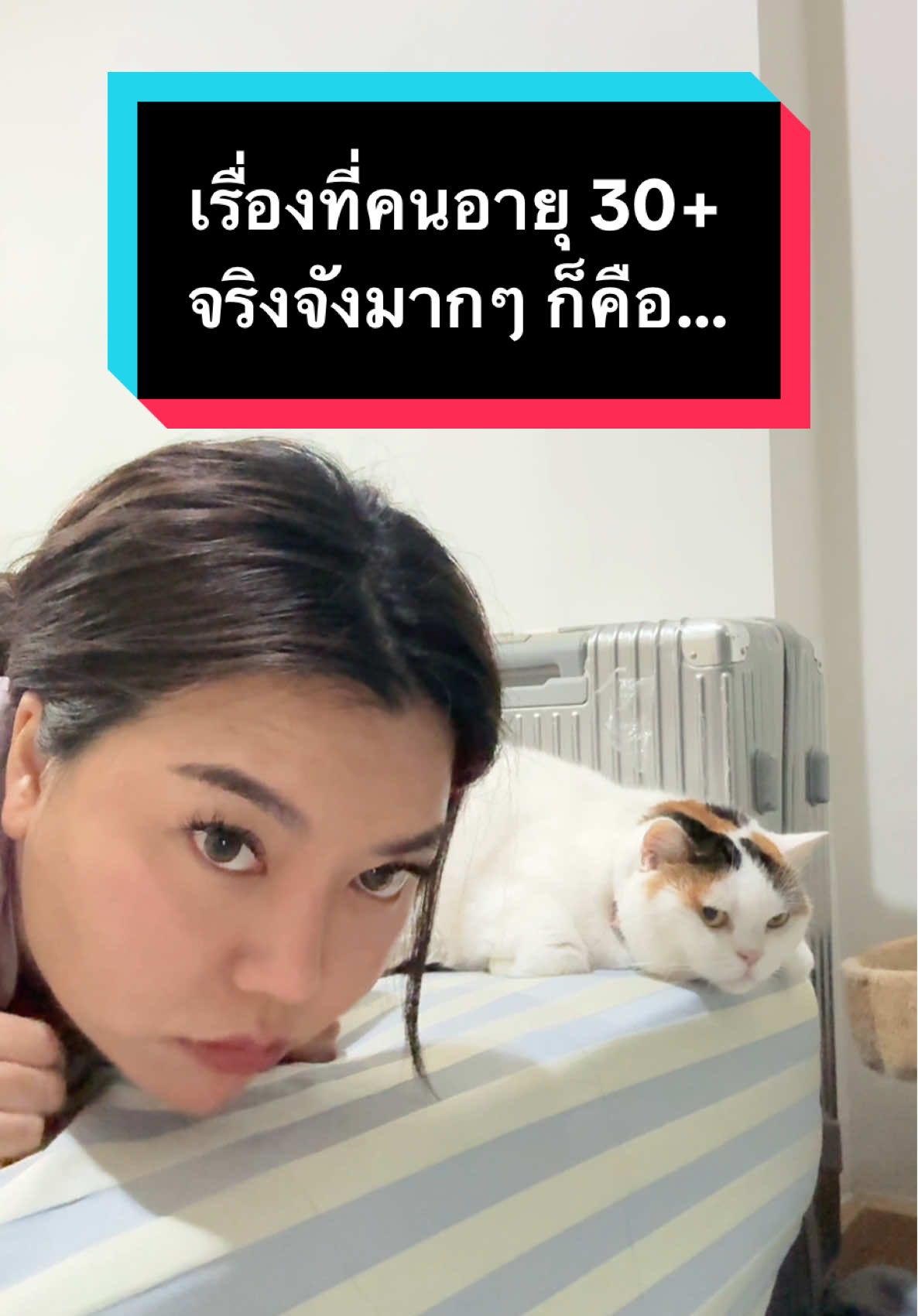 ก็ทำแล้วมันสนุกนี่นา 🤭 #มูมินแมวเหนียง #เดอะพลอย #แมวน่ารัก #แมวอ้วน #สวนสัตว์tiktok 