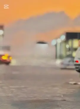 من لا يقف معك وقت العاصفة..قل له لا داعي للمجئ وقت طلوع الشمس👍#الشعب_الصيني_ماله_حل😂😂 #fypシ #مشاهدات #اكسبلور #tiktok #حدايق_حلوان 