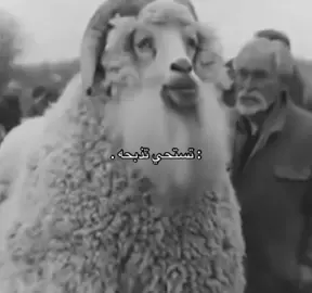 #رياكشن #هاشتاق #الشعب_الصيني_ماله_حل😂😂 
