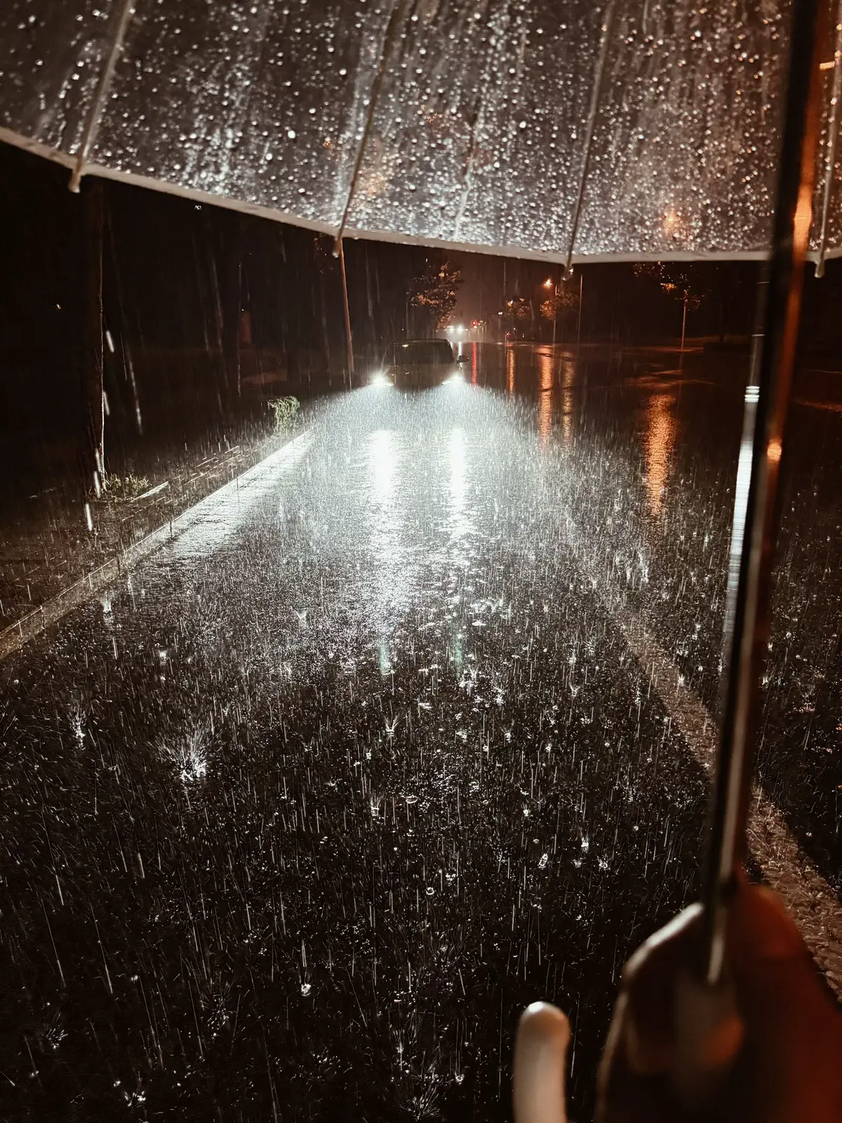 雨滴落下，像极了我的心跳 #story 