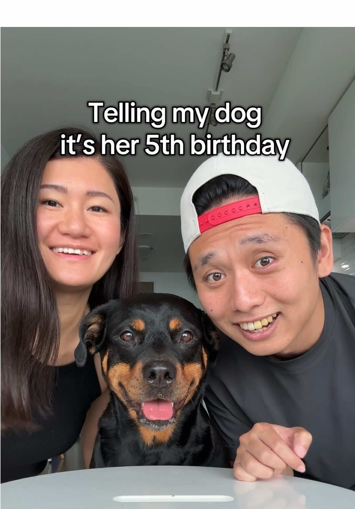 Celebrating our dog Emma’s 5th birthday 🎉 It’s crazy to think she’s already been in our lives for half a decade. Wouldn’t trade all the highs and lows for the world, and here’s to many more years to come! Thank you for all of your love! これからもよろしく! #birthday