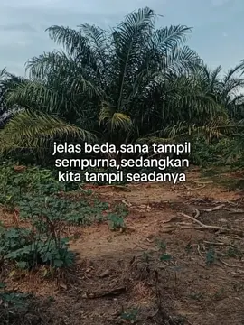 #fyp #sawit#poryoupage 