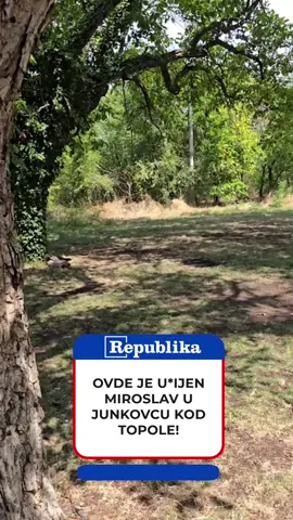 Sinoć se u Topoli dogodila t*agedija nakon završetka manifestacije „Junkovačka gulašijada i pasuljijada“, kada je u t*či u*ijen 46-godišnji Miroslav G. On je tokom dana učestvovao na takmičenju u kuvanju gulaša zajedno sa prijateljima i oko 16 sati njegova ekipa je proglašena za pobednika. Umesto da slavlje završi veselo, sve se pretvorilo u ko*an su*ob. Kako navodi izvor „Blica“, na proslavi je bila i druga ekipa, s kojom je u jednom trenutku došlo do dobacivanja i sv*đe. Oko 20 sati ve*balni su*ob prerastao je u fizički ob*ačun. Više muškaraca, njih četvorica ili petorica, nas*nulo je na Miroslava i počelo da ga u*ara. B*utalno je tu*en po glavi i telu, a posledice na*ada bile su fatalne – Miroslav je p*eminuo na licu mesta. Zbog ovog st*avičnog događaja policija je brzo reagovala i uha*sila dvojicu osumnjičenih. Njima je određeno zadržavanje do 48 sati, dok istraga o motivima i tačnom toku događaja i dalje traje.