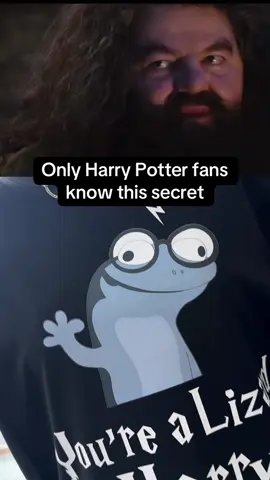 Legit #harrypotter #lizard #lizardmeme #lizardharry #wizard #meme #harrypotterfan 