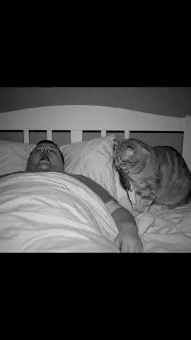 My Cat Gifted Me a Mouse While I Was Sleeping…#FunnyCat #CatWithMouse #CatSurprise