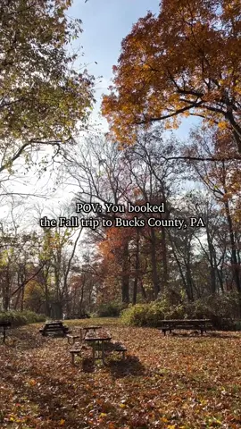 🍁Leaf it to us to give you the perfect fall things to do!  ➡️ Book your autumn getaway to Bucks County and don’t miss out on fall festivals, apple picking and stunning fall foliage!  🔗 For more fall fun click the link in our bio! 🍂 #fall #fallfestival #buckscounty #fallgetaway #autumn @VISIT PA @Visit Philly 