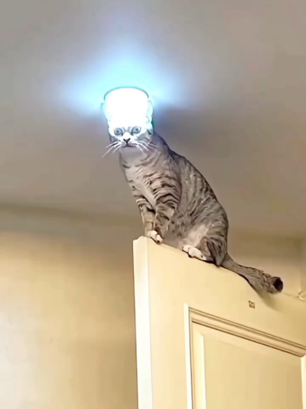 😅#viraltiktok #komedikocak #fyp 