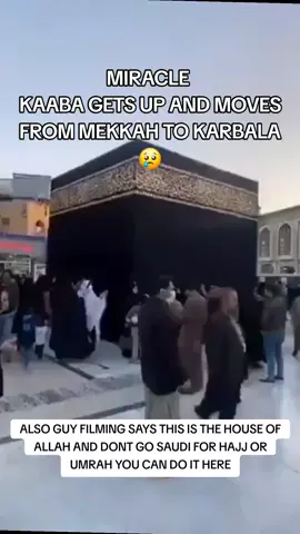 #313 #shia #karbala #fyp #foryou 