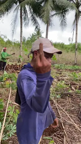 Jan super . #singkonglampung #kulisingkong #lampungtimur #perintismuda 