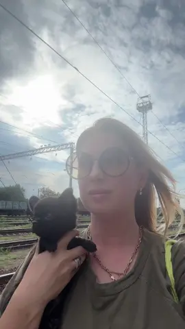 #питомникчихуахуа #рекомендации❤️❤️❤️ #миничихуахуа🐕 #chihuahua 