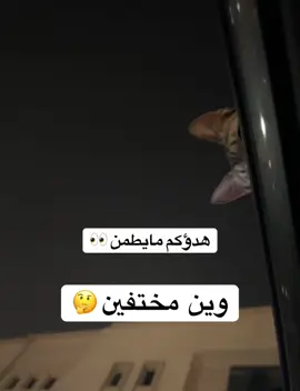 وينكم  👀🤭😂😂😂#نجد_العذية #CapCut #ryppp #ryp #اكسبلورexplore 