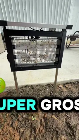 The bug zapper is amazing and disgusting all at the same time 