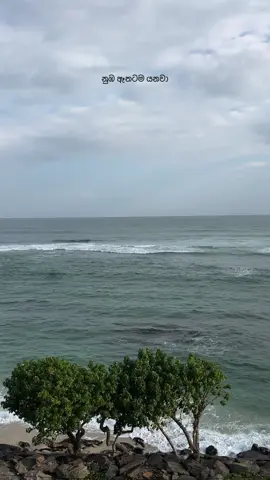 එක මොහොතක් එන්න සොයා.... #එකමොහොතක්❤️😍 #එකමොහොතක්එන්නසොයා🌀 #ekamohothak #ekamohothakennasoya #ushainnirodh 