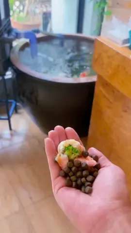 They swim like living jewels... ✨ #KoiFish #FishTank #fyp #viral #satisfying 