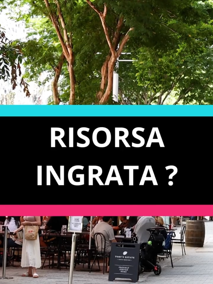 Estibaliz VS Gassman: storie di accoglienza diversa! #immigrati  #accoglienza #clandestino #caseoccupate #perte