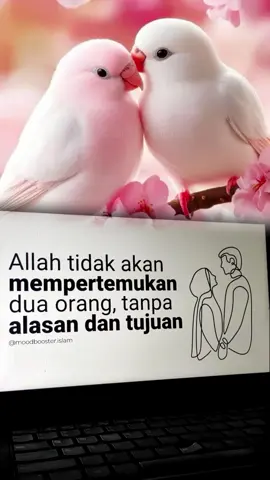 pertemuan