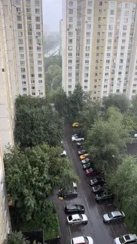 #furrrrrrrrrrrrrrrrrrrrrrrrrrrrrrrr #москва❤️ 