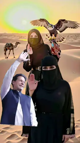 #🦜🇸🇦🦜🦅 #🇸🇦🦅🇵🇰 