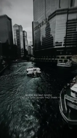 Dáng em remix #chan #capcut #capcutpioneer #pioneertemplate 