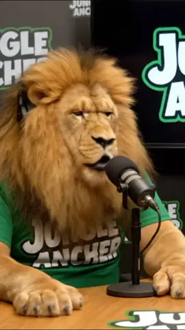 lion is back, he aren't talking disrespect from humans 🎙️ #lion #ai #jungleanchor #podcast 