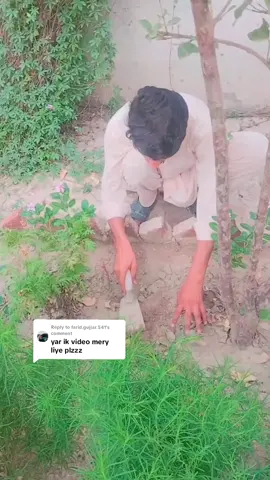 Replying to @farid.gujjar.541@FARID GUJJAR #creatorsearchinsights #unfreezemyaccoun #viralvideo #dontunderewiemyvideo #foryoupage 