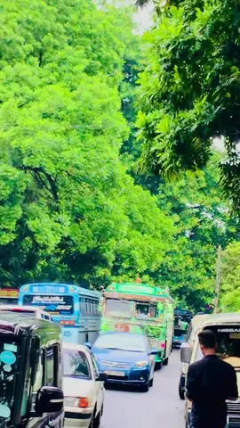 Apple 🍏 එදා ඉදන් ආසම එකක් 🥺💚 #king_of_the_apple special hiring #foryou #foryoupage #viral #fyp 