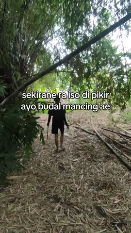 pokok mumet langsung budal #mancing #mancingliar #ayomancing #fyp 