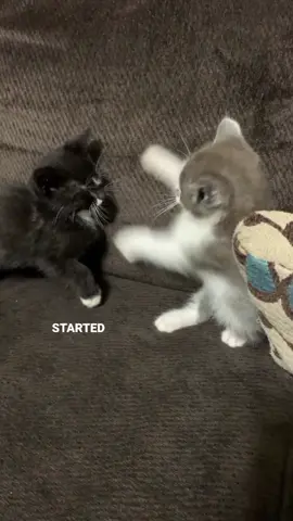 #lyrics #foryou #yckoimebskt #angelbaby #troyesivan 