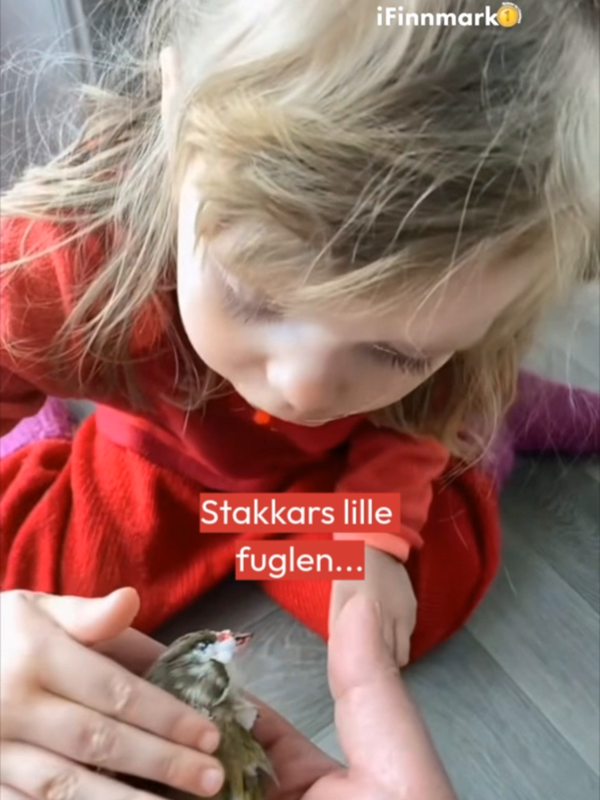 Nei, den koker vi!