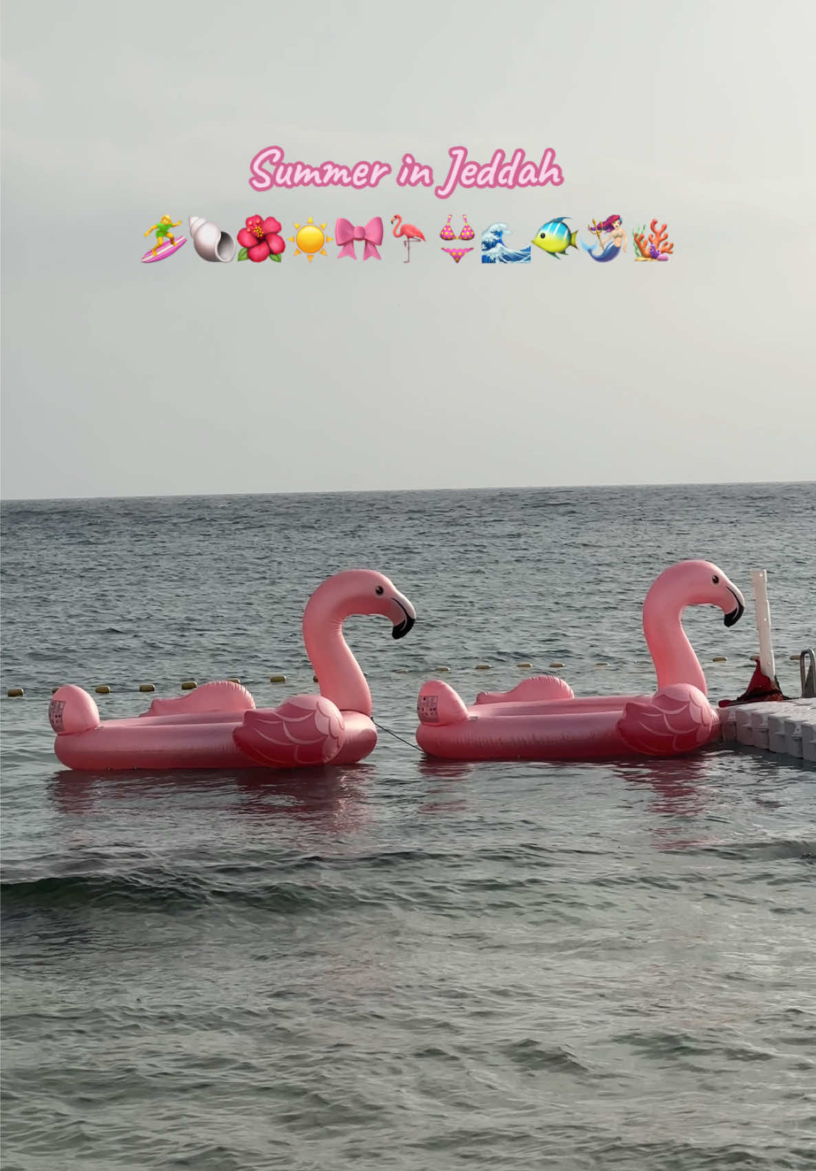 Girls just wanna have fun in Jeddah 👙🐠🏄‍♀️🌺🦩✨🪸☀️👙🌊🐚 #obhurbeachjeddah #tan #explore #fyp💕 