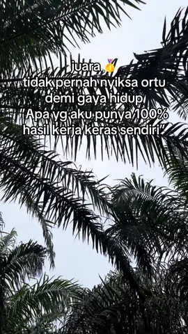 #peruningsawit#kulisawit#pemanensawit#kulisawitkalimantan 