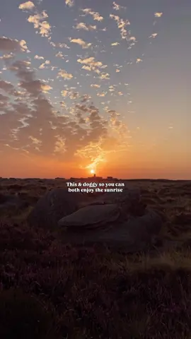 I said what I said 🤷🏻‍♀️ #hike #hiker #camping #wildcamping #explore #adventure #nature #Outdoors #fyp 