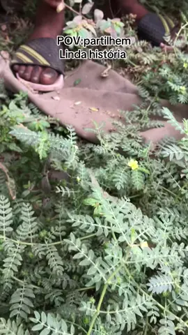 @russok123 @j.privadoemstv avera continuação família partilhem ao Máximo🙏🏾🙏🏾🙏🏾💿🎼💿🇦🇴🇦🇴✅