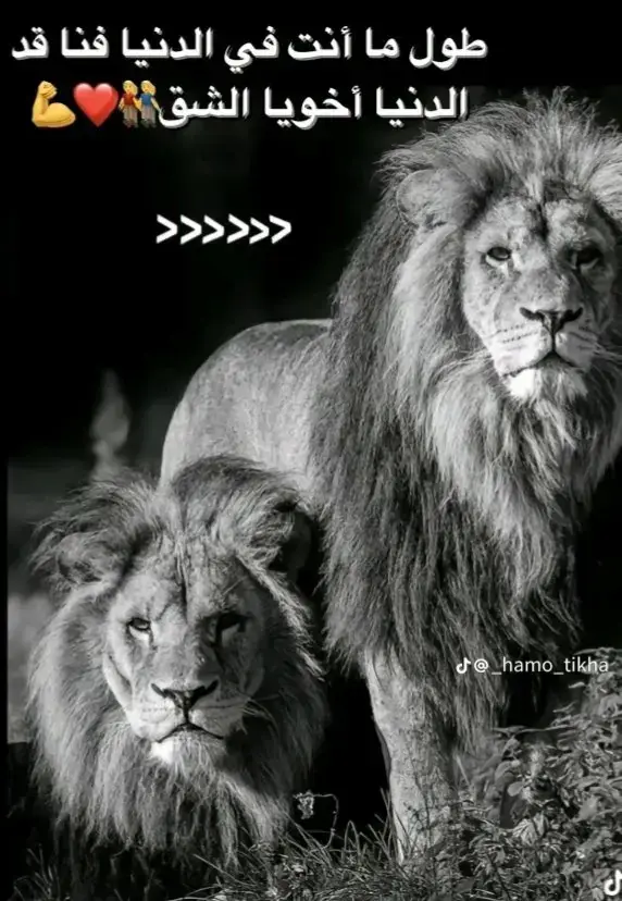 الشق 🫵💗@ᗰOᗪY_🦅 