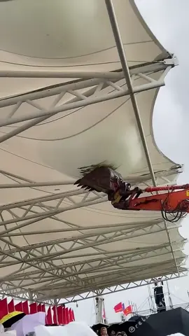 Cut a blister satisfactory snow removal #satisfying #oddlysatisfying #asmr #europe #usa 