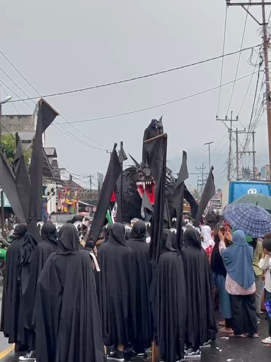 HUT RI ke - 80 tahun 2025 pekon negeri agung, masih turut serta memeriahkan walau dalam keadaan hujan🔥 @selampung #hutri80 #karnaval #talangpadang #tanggamus #budayalampung 