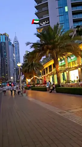 برج خليفة دبي 🇦🇪♥️  #مارينا  مارينا دبي #الشعب_الصيني_ماله_حل  #دبي  ل #fyp #مشهدات_تيك توك