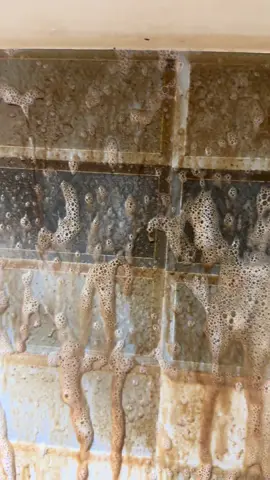 #تصميم_فيديوهات🎶🎤🎬 #ترند #اكسبلور #تنظيف_عميق #السعوديه🇸🇦 ###############################  